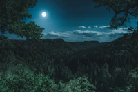 Paisagem florestal iluminada pela lua sob a lua da colheita