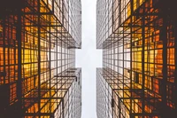 Symmetrical Modern Tower Block with Mesh Facade and Amber Glass in Urban Setting