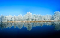 Serenidade Congelada: Reflexão de Inverno em um Lago Tranquilo