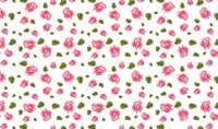 cœur, design, fleur, rose, motif