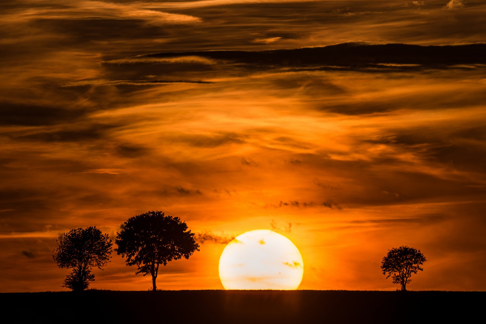 Araffes ao longe com um pôr do sol atrás deles (por do sol, nascer do sol, alvorada, horizonte, sol)