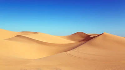 désert, dune, sable, erg, forme de relief éolien