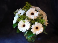 Bouquet élégant de gerberas blancs dans un vase en verre