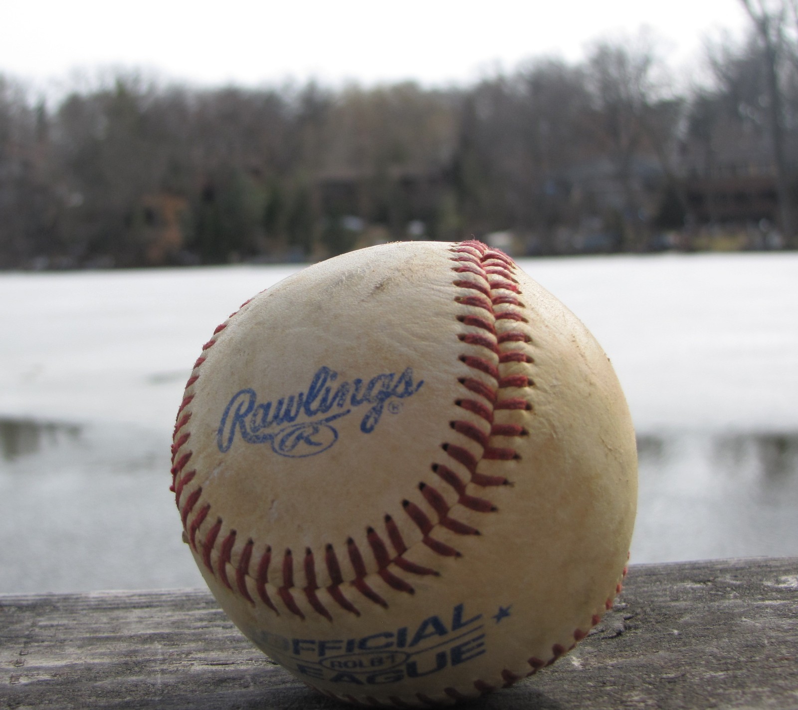 Uma bola de beisebol arafed sentada em um banco de madeira perto de um lago (beisebol, laces, rawlings, esportes, água)