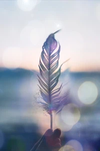 Golden Feather Against a Cosmic Background