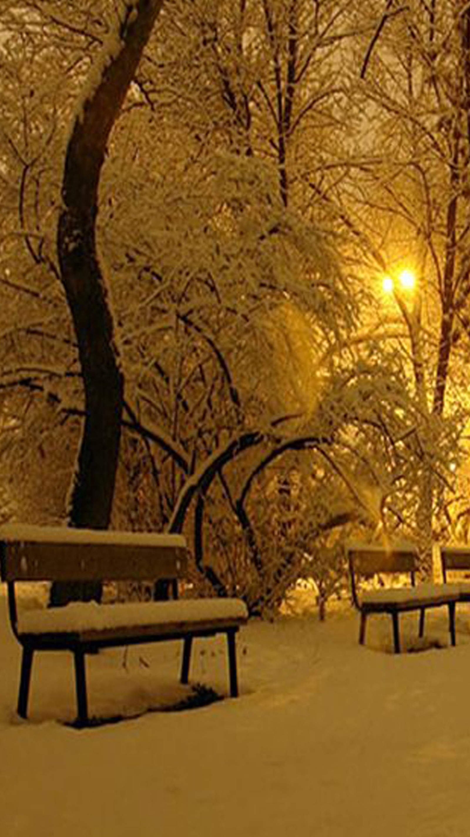 Bancs de parc enneigés dans la neige la nuit avec le soleil passant à travers les arbres (paysage, hiver)