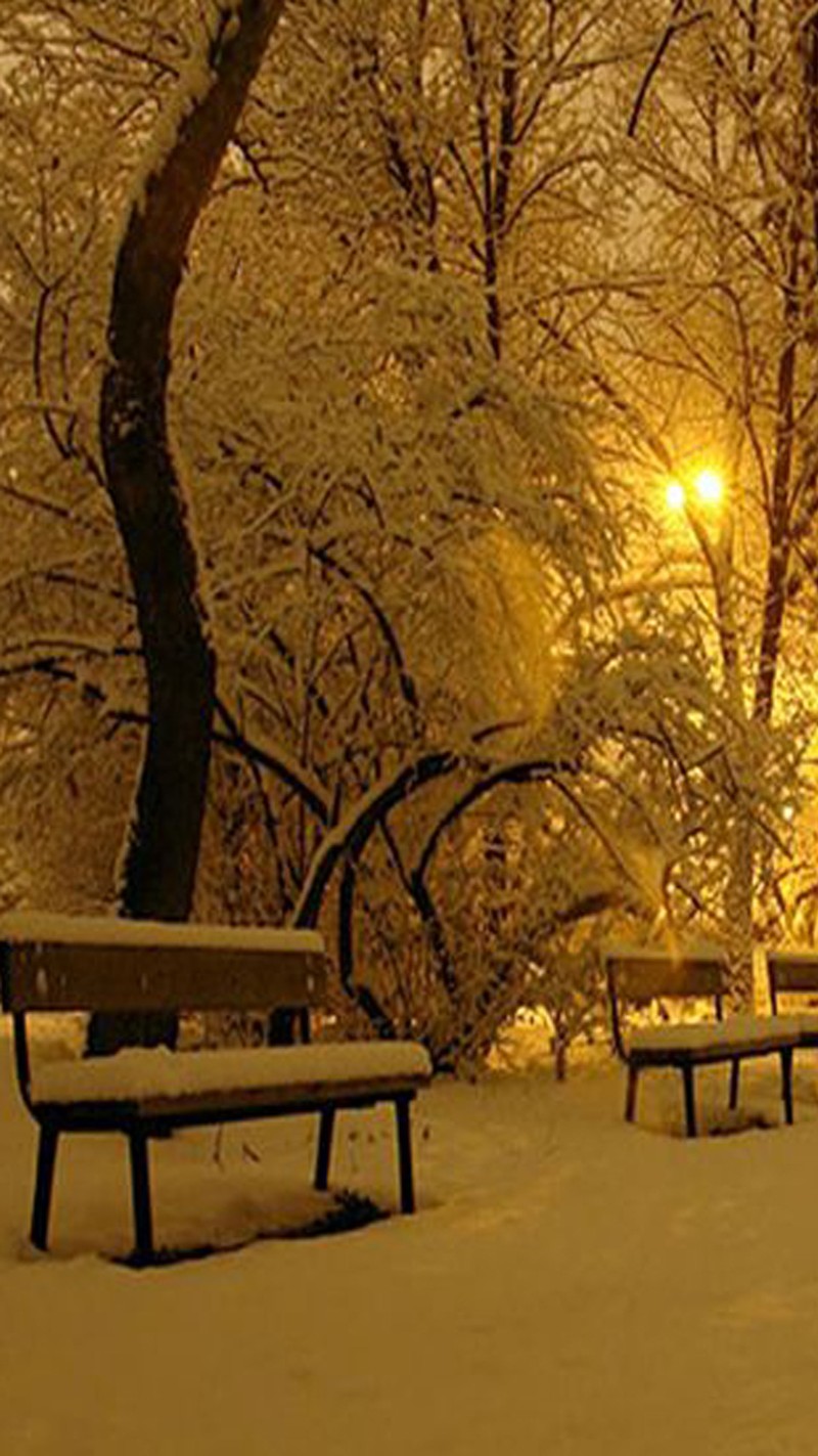 Снежные скамейки в парке ночью, когда солнце светит сквозь деревья (пейзаж, зима)