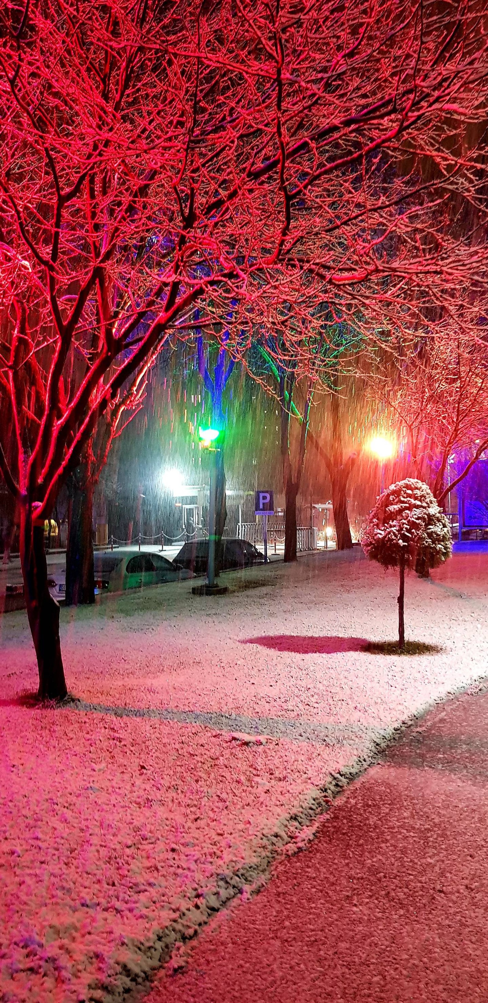 Eine schneebedeckte nachtszene mit roten lichtern und bäumen im vordergrund (winter, nacht, rot)