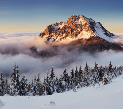 Majestosas montanhas cobertas de neve envoltas em névoa na Eslováquia