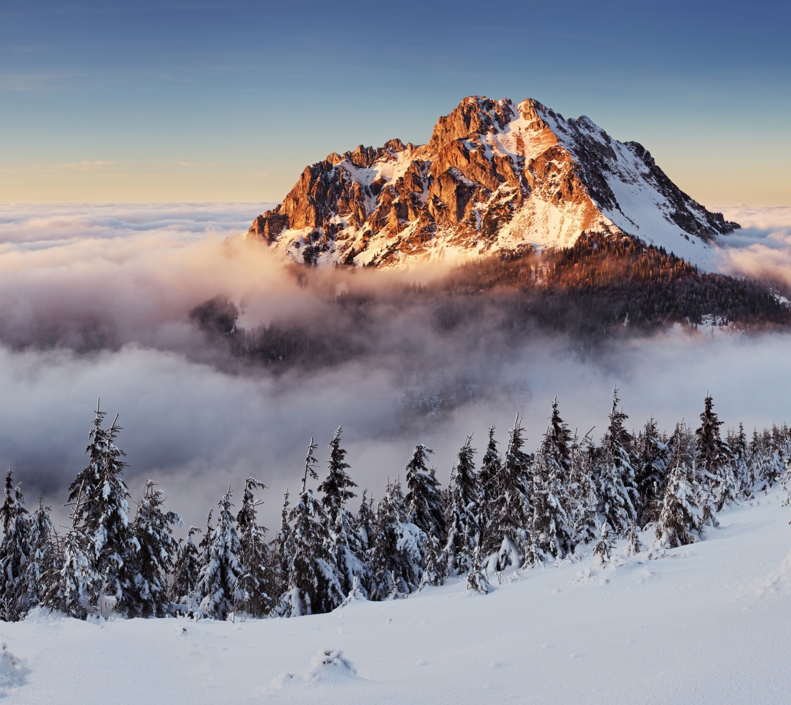 Descargar fondo de pantalla niebla, montañas, pinos, eslovaquia, nieve