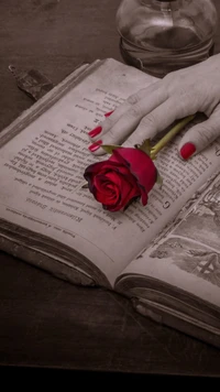 Mano sosteniendo una rosa roja sobre un libro abierto