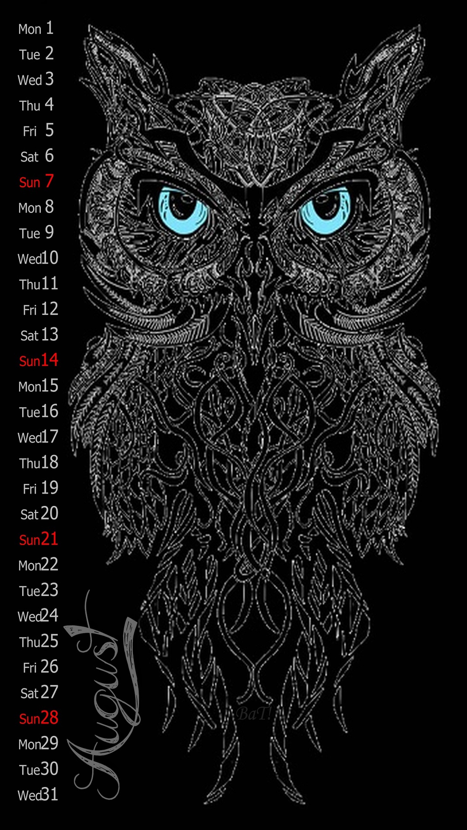 Un hibou noir et blanc avec des yeux bleus sur fond noir (2016, août, août 2016, chauve souris, bleu)