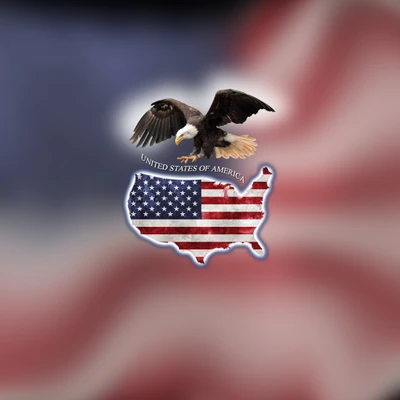 Bald Eagle Overlaid on the United States Map with American Flag Background