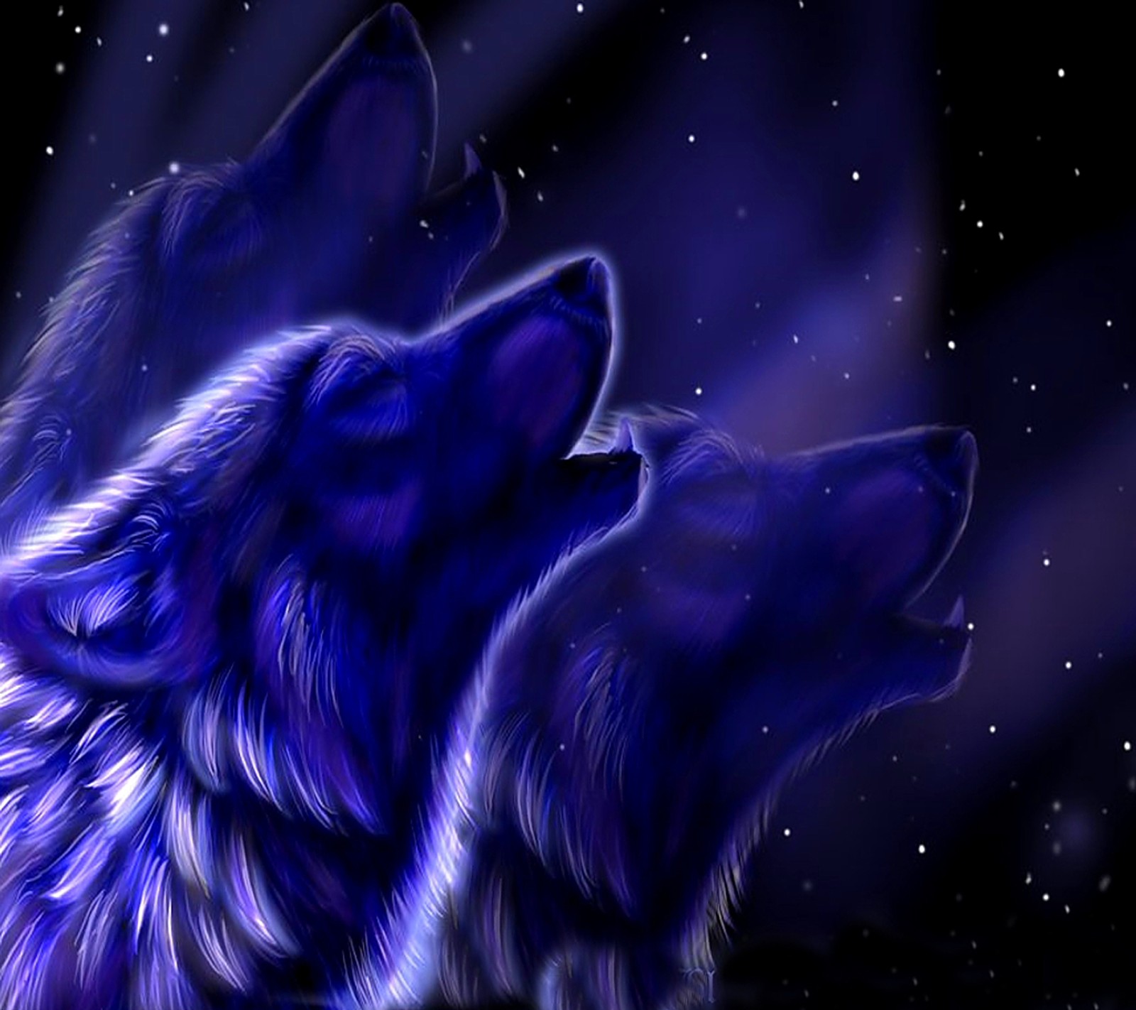 Dos lobos mirando las estrellas en el cielo (hermoso, lobos)