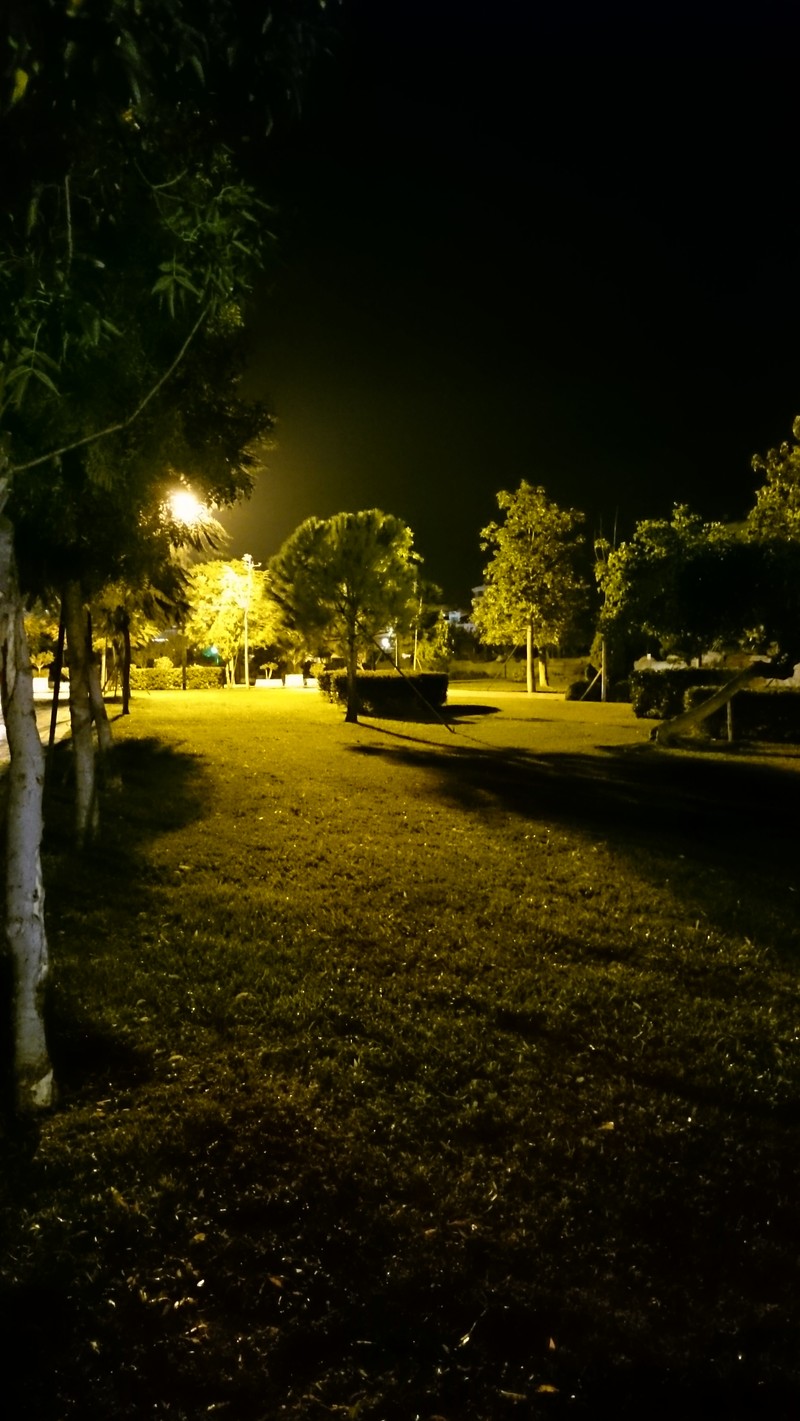 Vista nocturna de un parque con un banco y árboles en primer plano (ligero, noche)