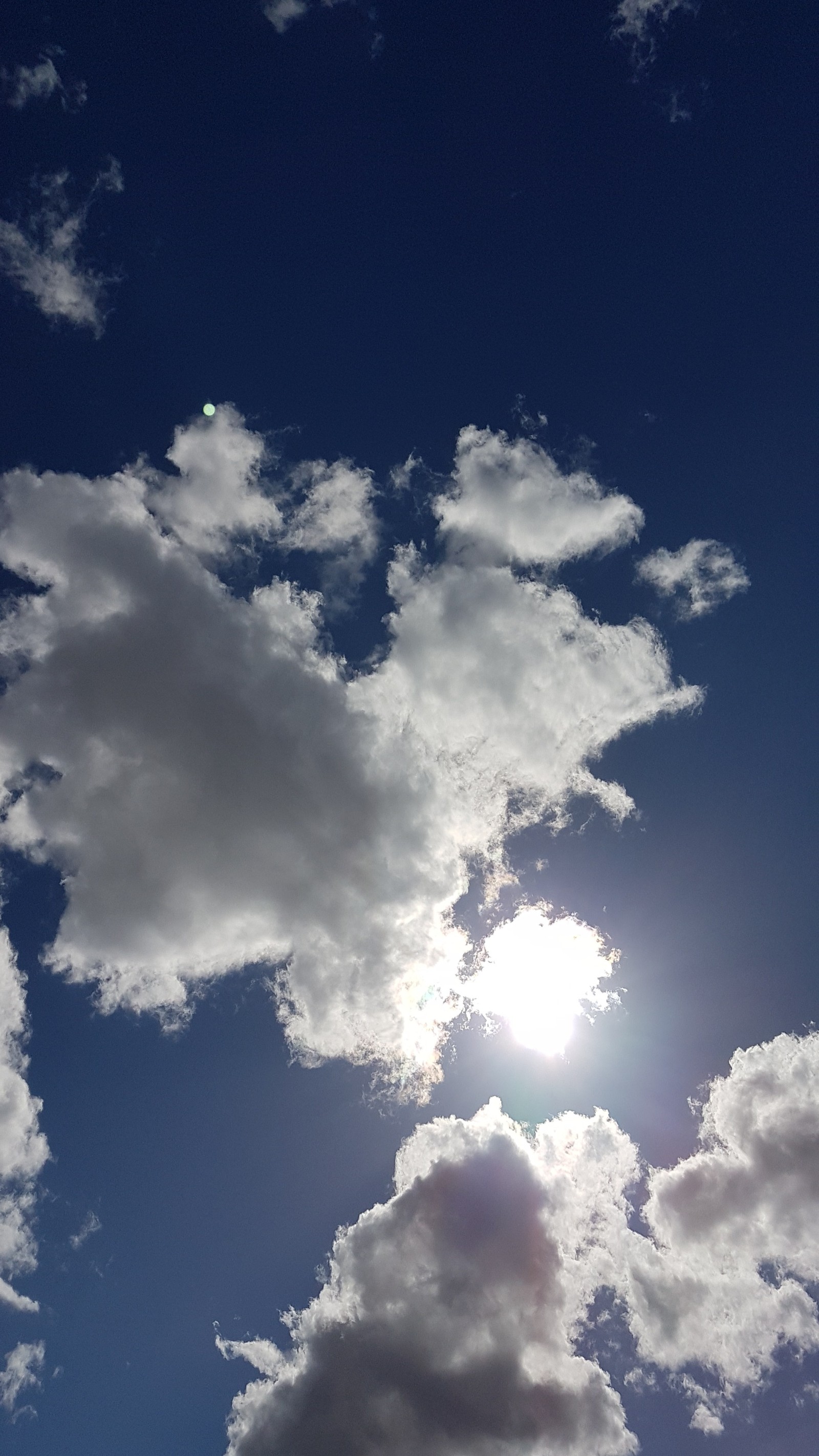 Une girafe volant à travers les nuages dans le ciel bleu (bleu, nuages, ciel, soleil, blanc)