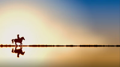 Silhouette eines Reiters auf einem Pferd vor einem ruhigen Sonnenuntergang, der sich im ruhigen Wasser spiegelt.