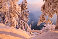 formation, canyon, roche, paysage, gel