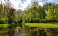 fluss, natur, reflexion, baum, naturschutzgebiet