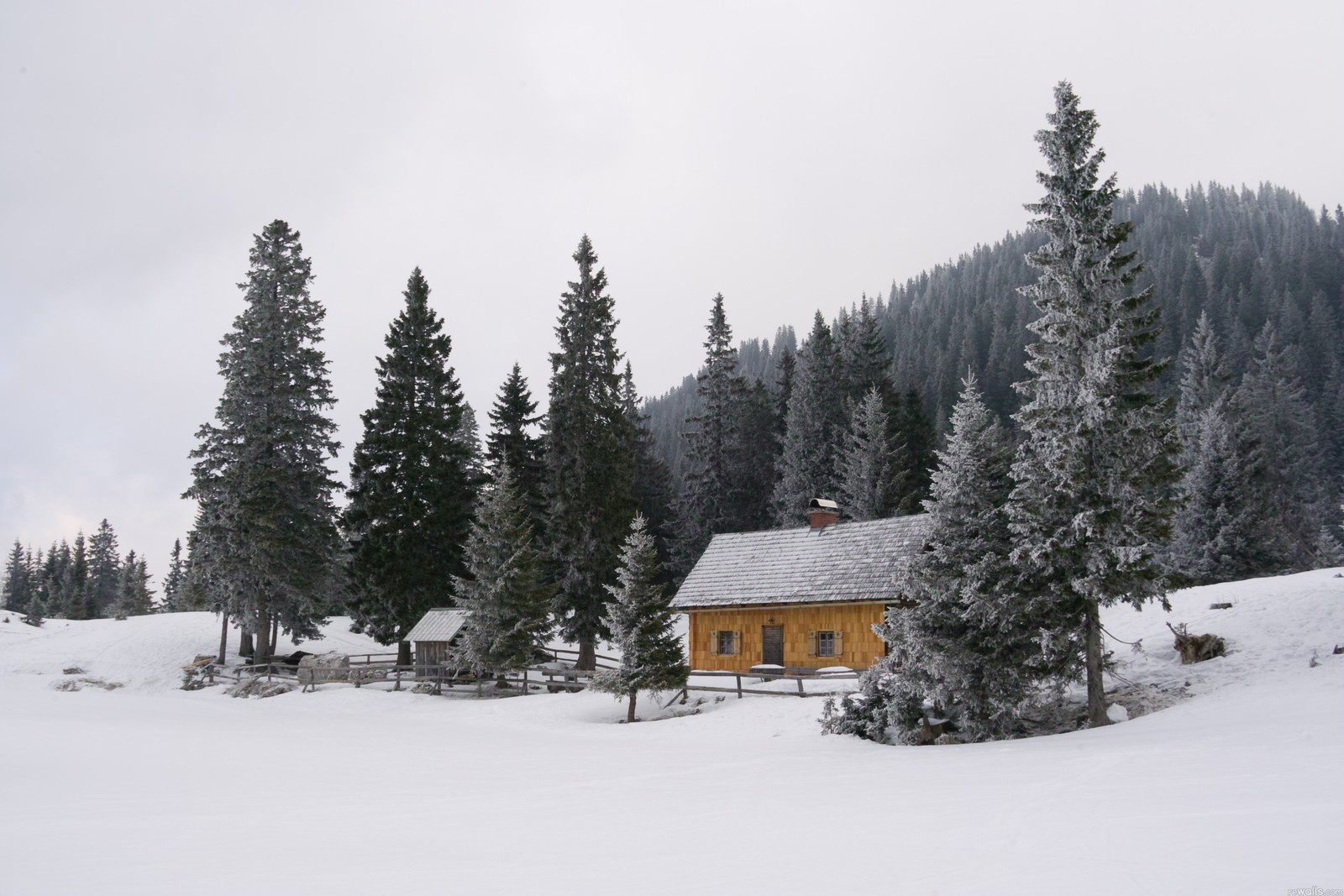 Il y a une petite cabane au milieu d'un champ enneigé (neige, hiver, arbre, gel, ciel)