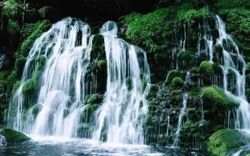 Водопад, стекающий с холма с мхом (водопад, водные ресурсы, водоем, природа, заповедник)