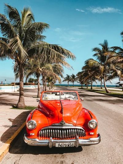 Cabriolet orange vintage sous des palmiers près de la plage