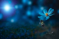 blue flower, pollination, butterfly, bokeh, sunlight wallpaper