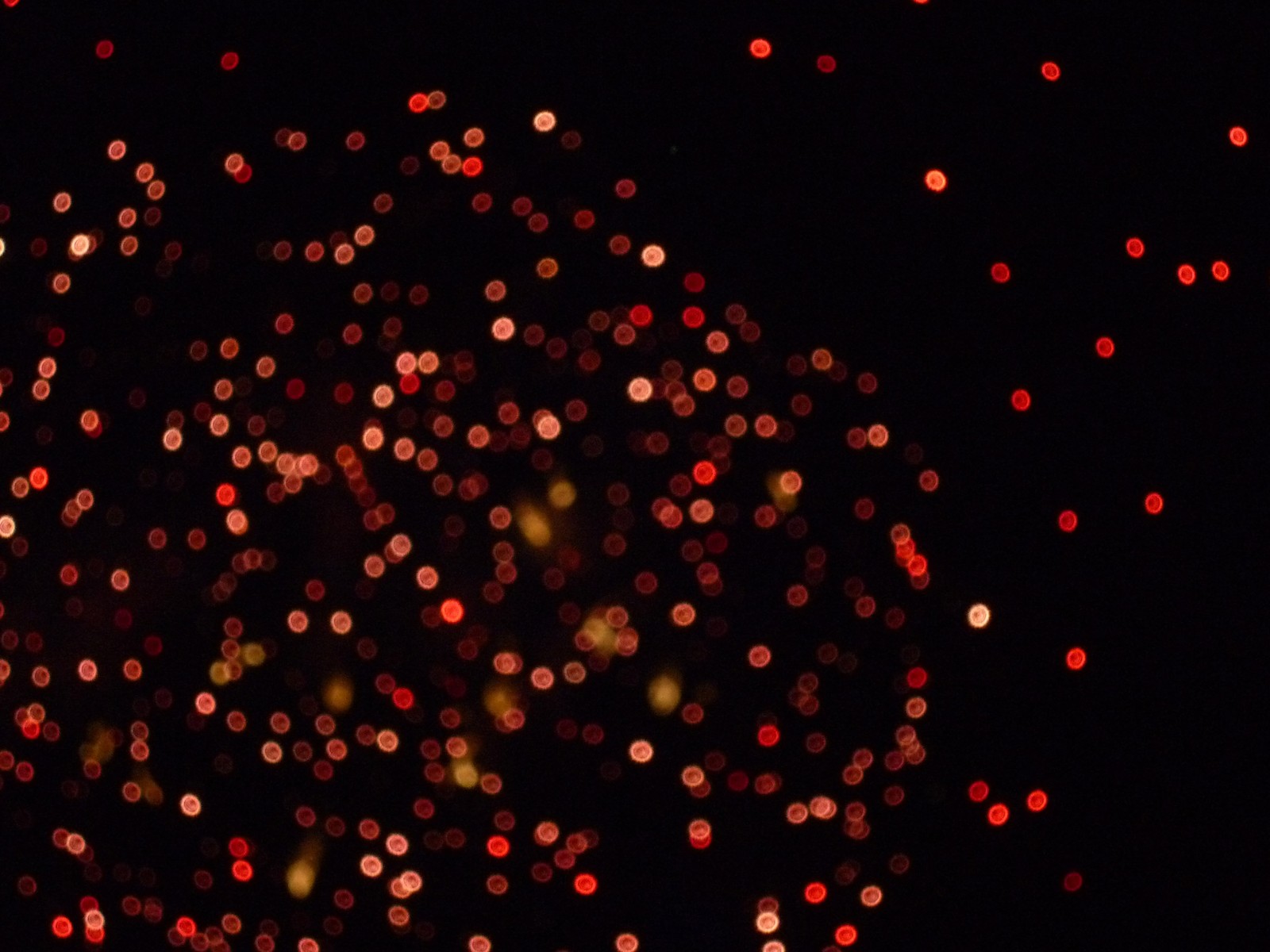 Nahaufnahme eines feuerwerks mit vielen lichtern im hintergrund (rot, raum, dunkelheit, himmel, ereignis)