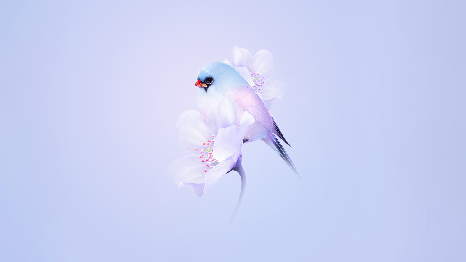 Il y a un oiseau qui est assis sur une branche de fleur (oiseau mignon, fleur de cerisier, esthétique bleue, fond pastel, fond dégradé)