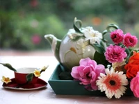 tasse, schnittblumen, rose, blumengesteck, blumendesign