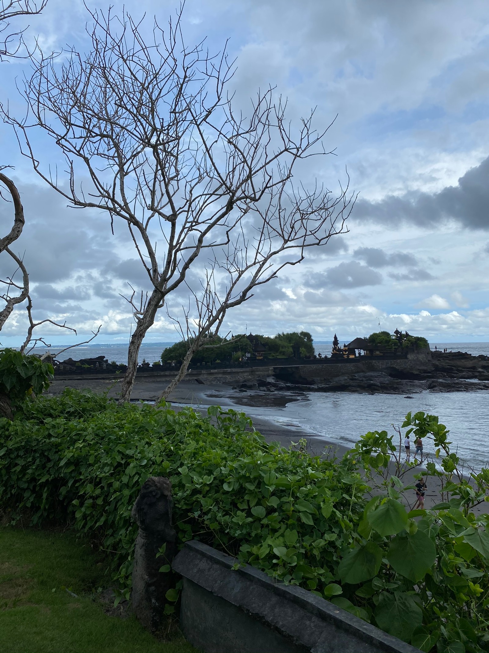 Há um banco na beira da estrada perto da água (indonésia, bali, folha, ciência, ramo)