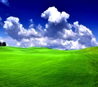 Vibrant Green Hills Under a Dramatic Sky