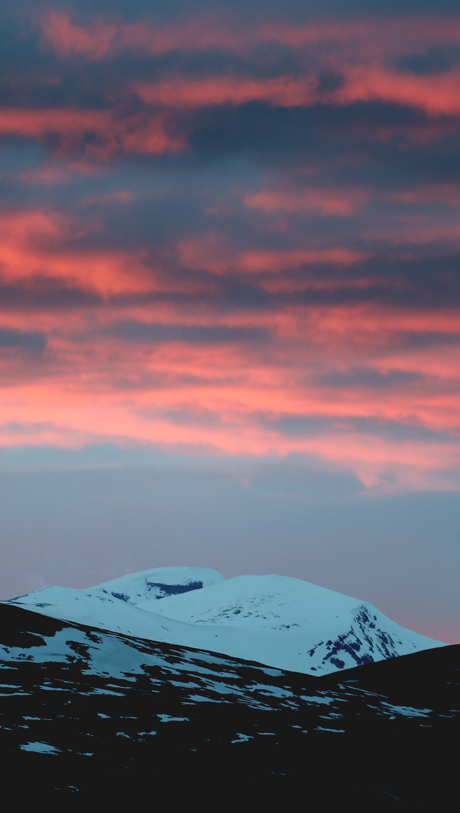 Des girafes au loin avec un ciel rose en arrière-plan (dovre, montagnes, nature, norvège, cieux)