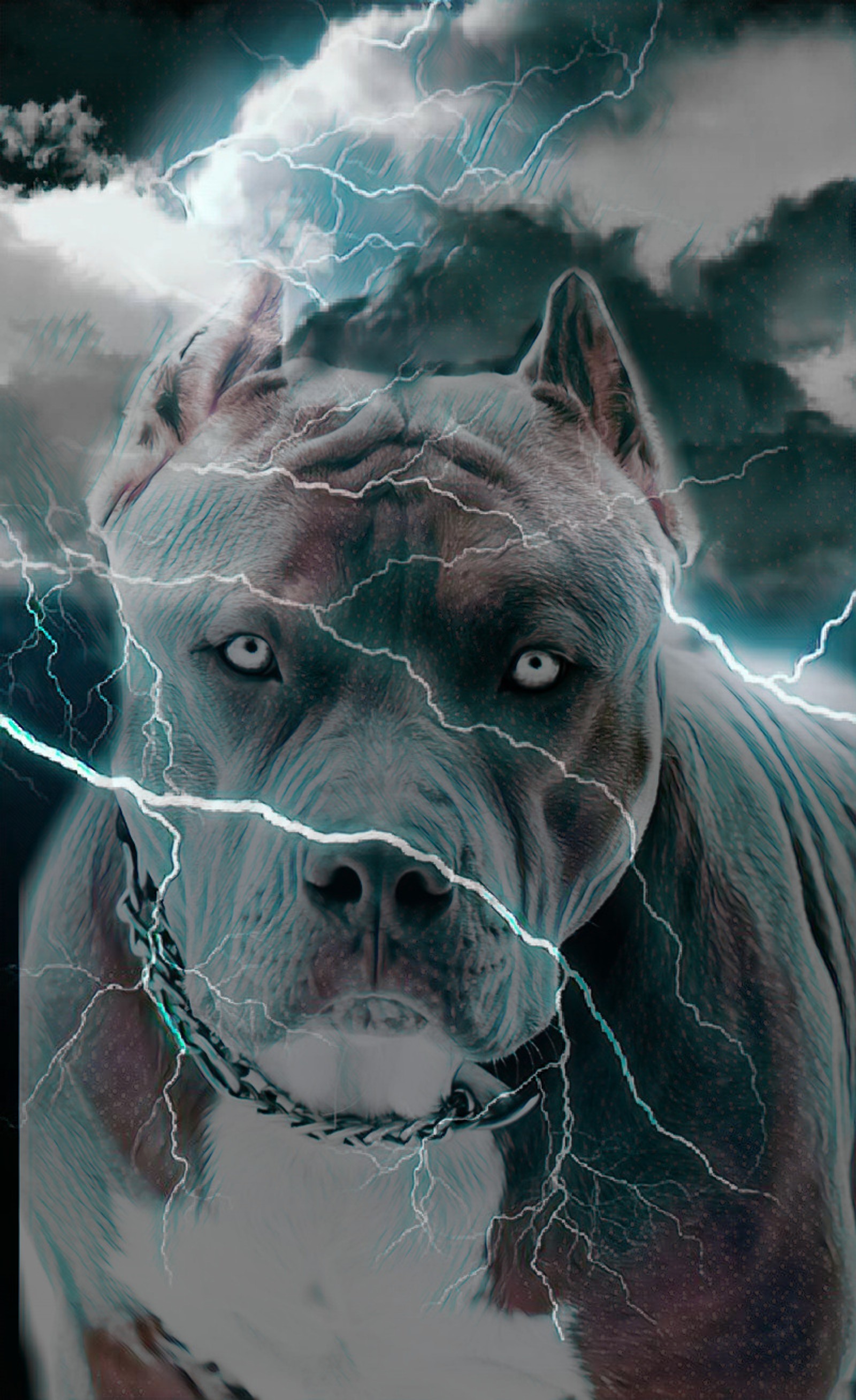 There is a dog that is standing in the lightning (pittbull, dog, pitbull)