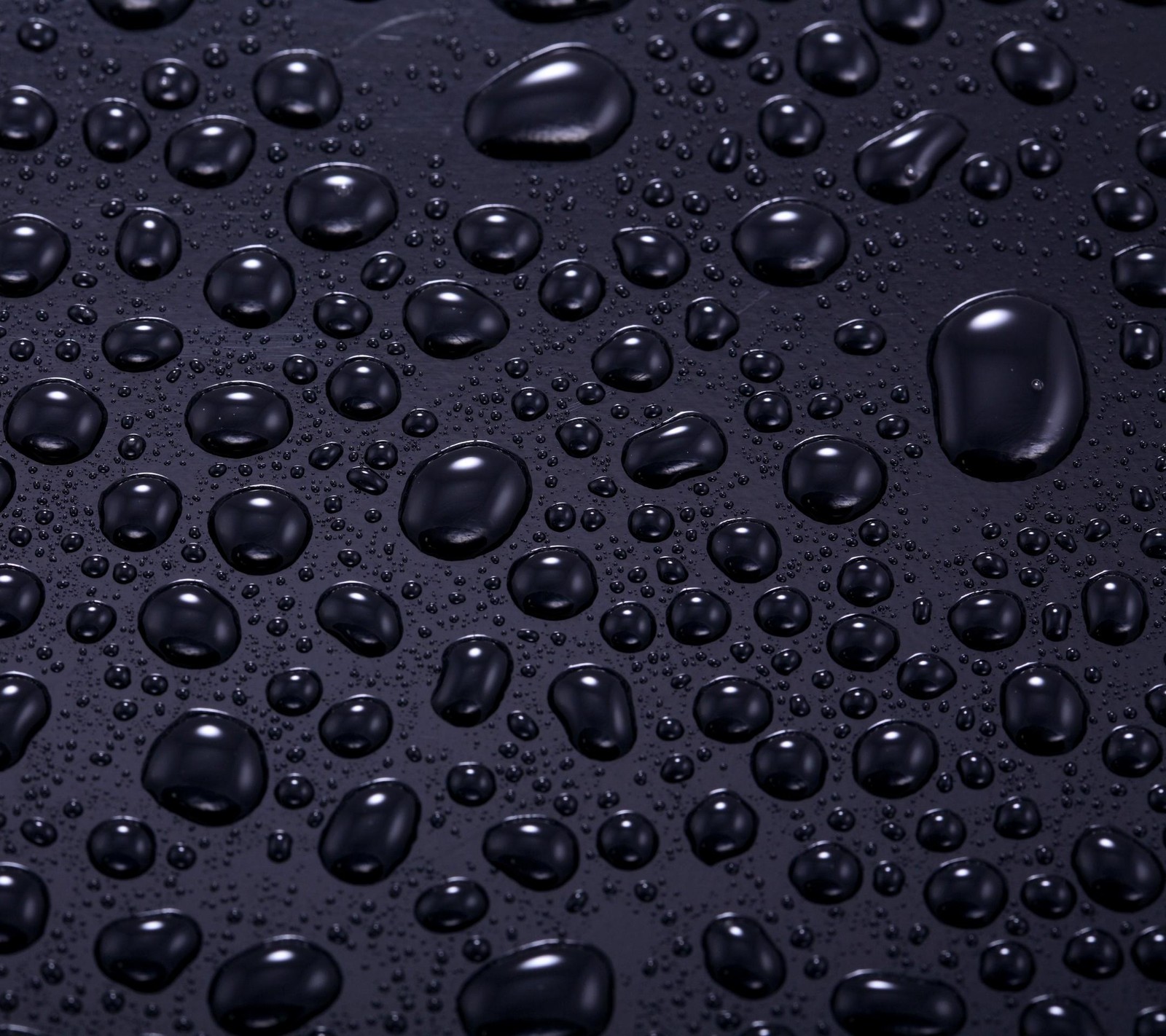 A close up of a bunch of water droplets on a black surface (black, drop, hd)