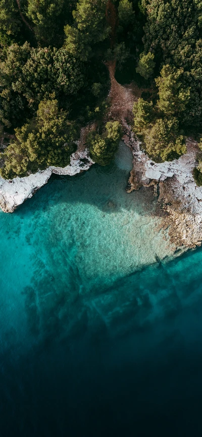 Vue aérienne d'un paysage côtier serein avec des eaux turquoise claires et des arbres verts luxuriants.