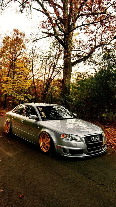 incroyable, audi, voiture