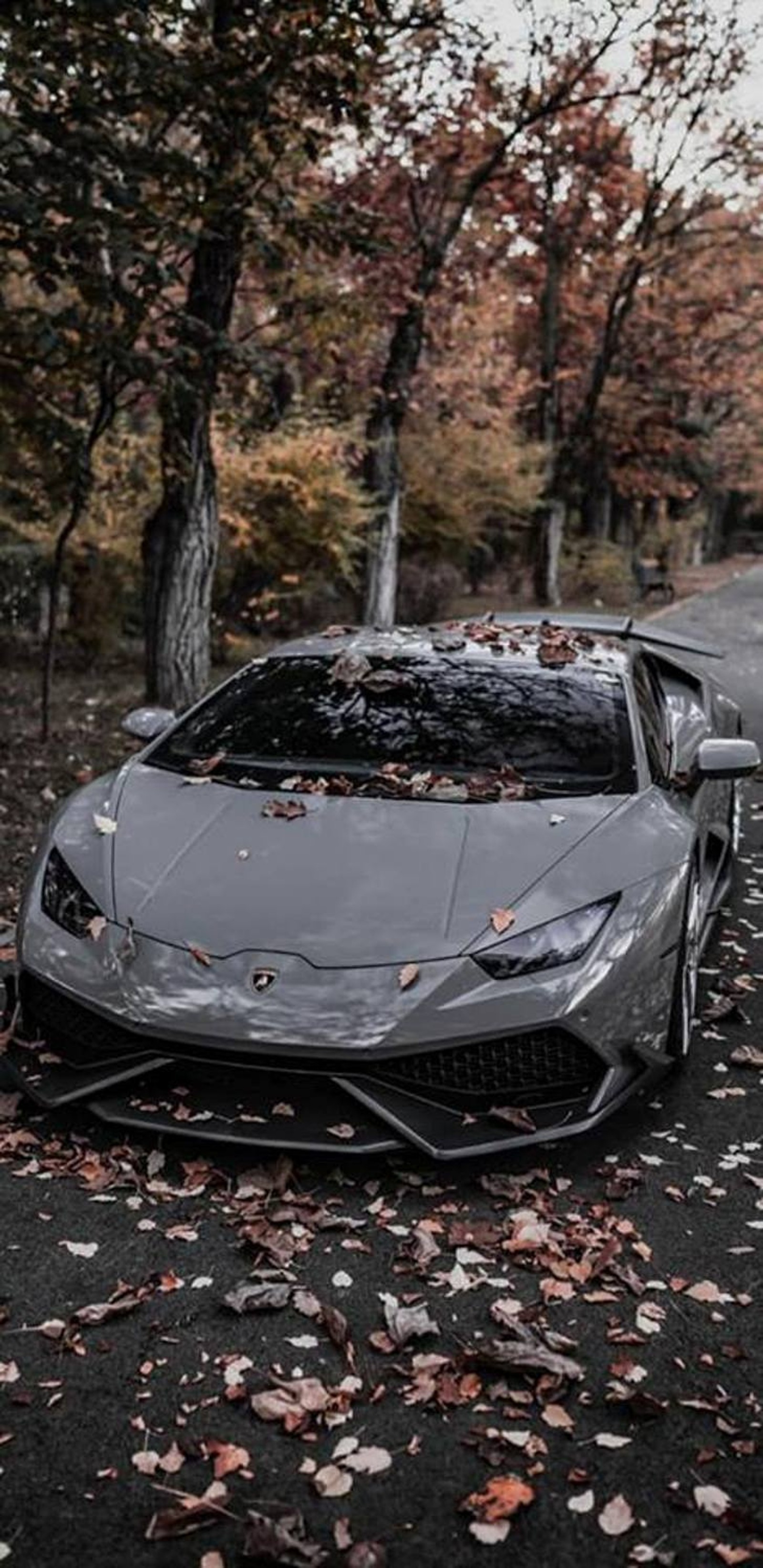 Скачать обои машина, huracan, lamborghini, осень