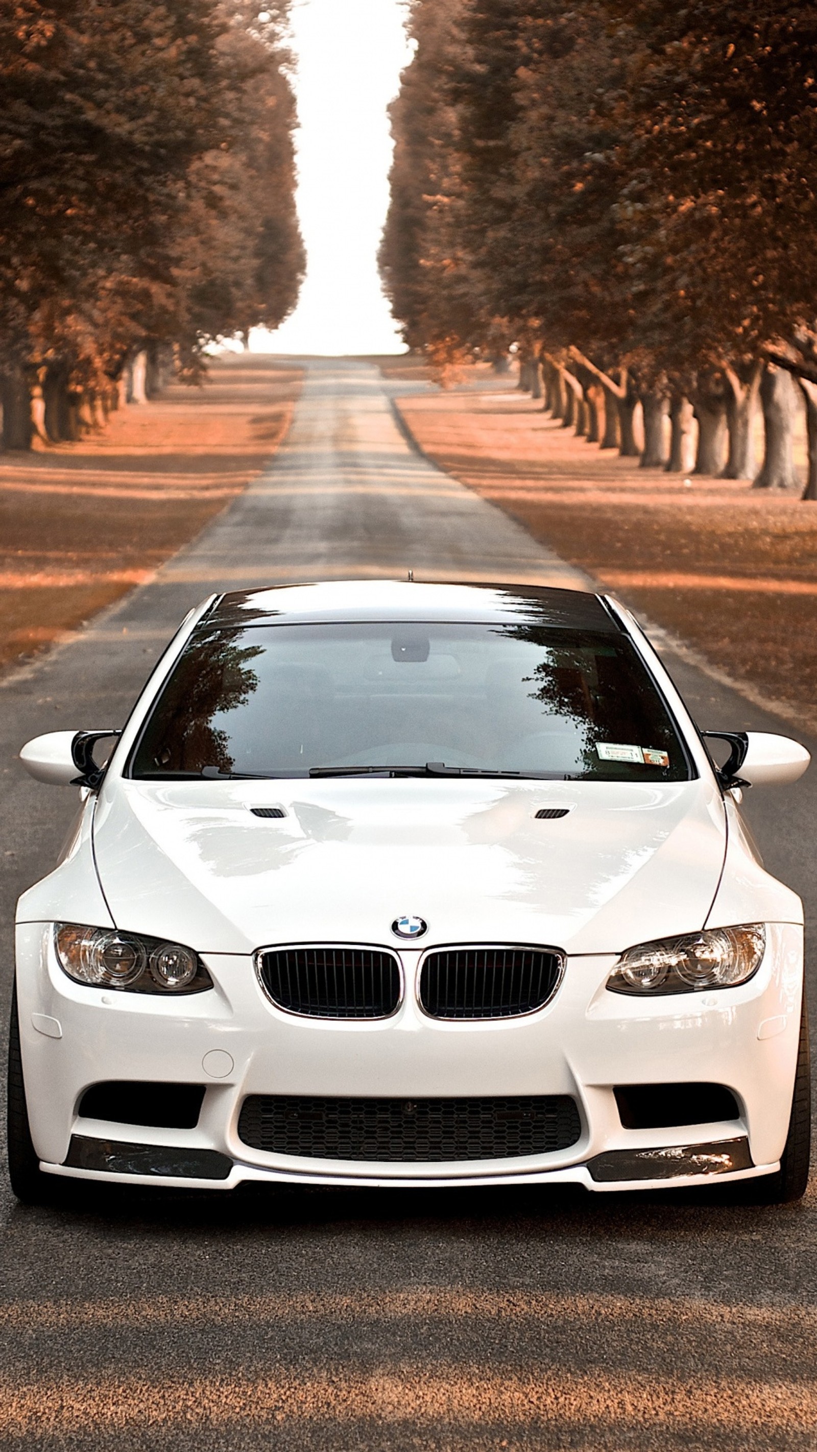 Arafed white bmw car parked on a road lined with trees (bmw, dashing, logos, white)