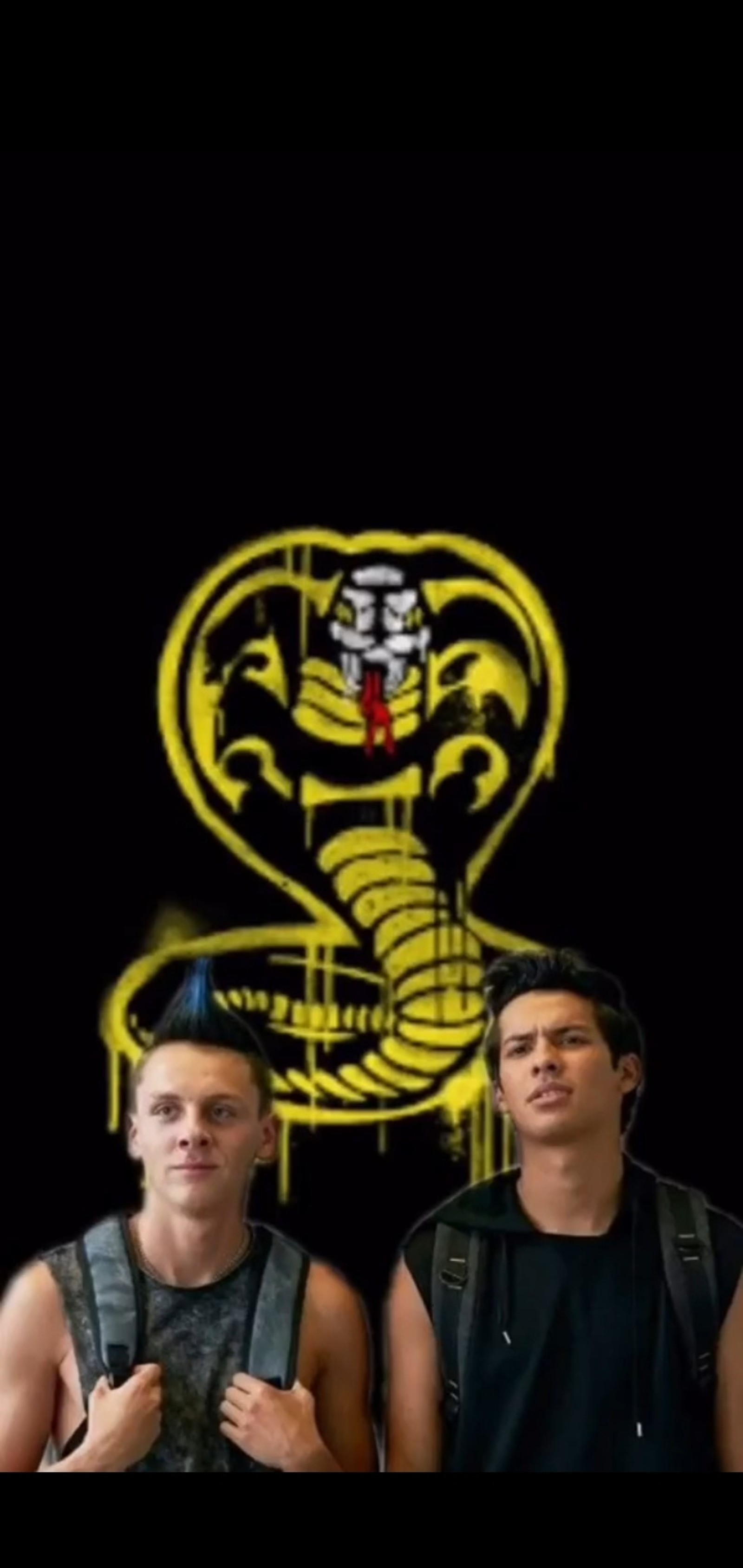 Descargar fondo de pantalla cobra kai, halcón, miguel diaz