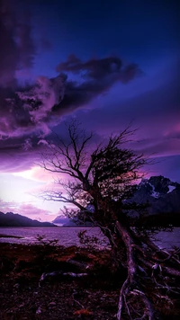 Twilight Serenity: Autumn Clouds Over a Barren Tree