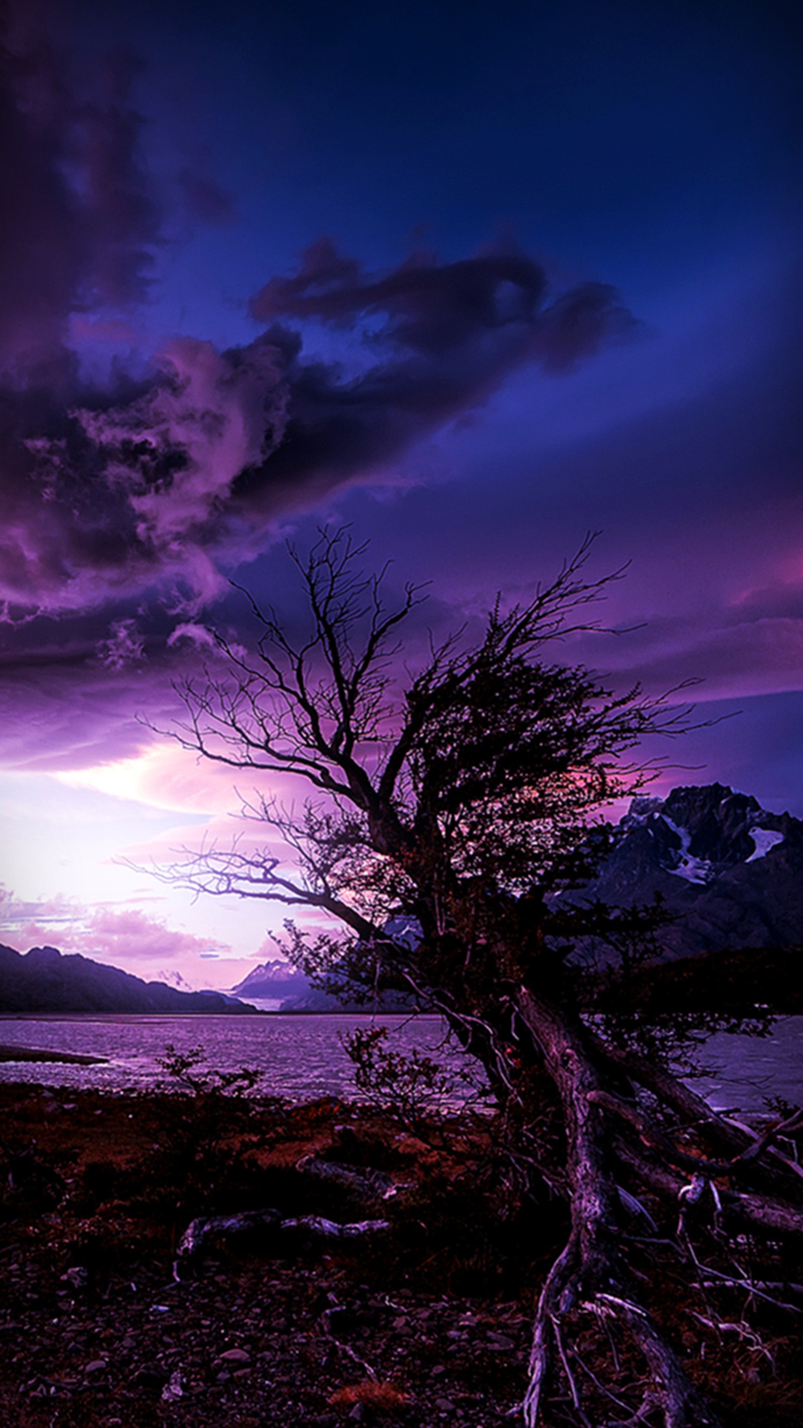 Coucher de soleil violet et bleu avec un arbre au premier plan (automne, nuages)