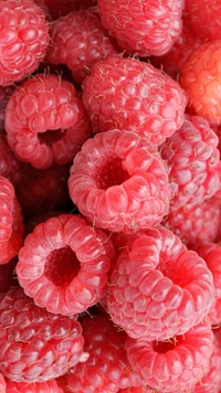 fruit, rashberries wallpaper