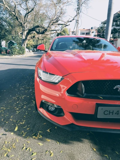 Roter Mustang auf einer von Bäumen gesäumten Straße