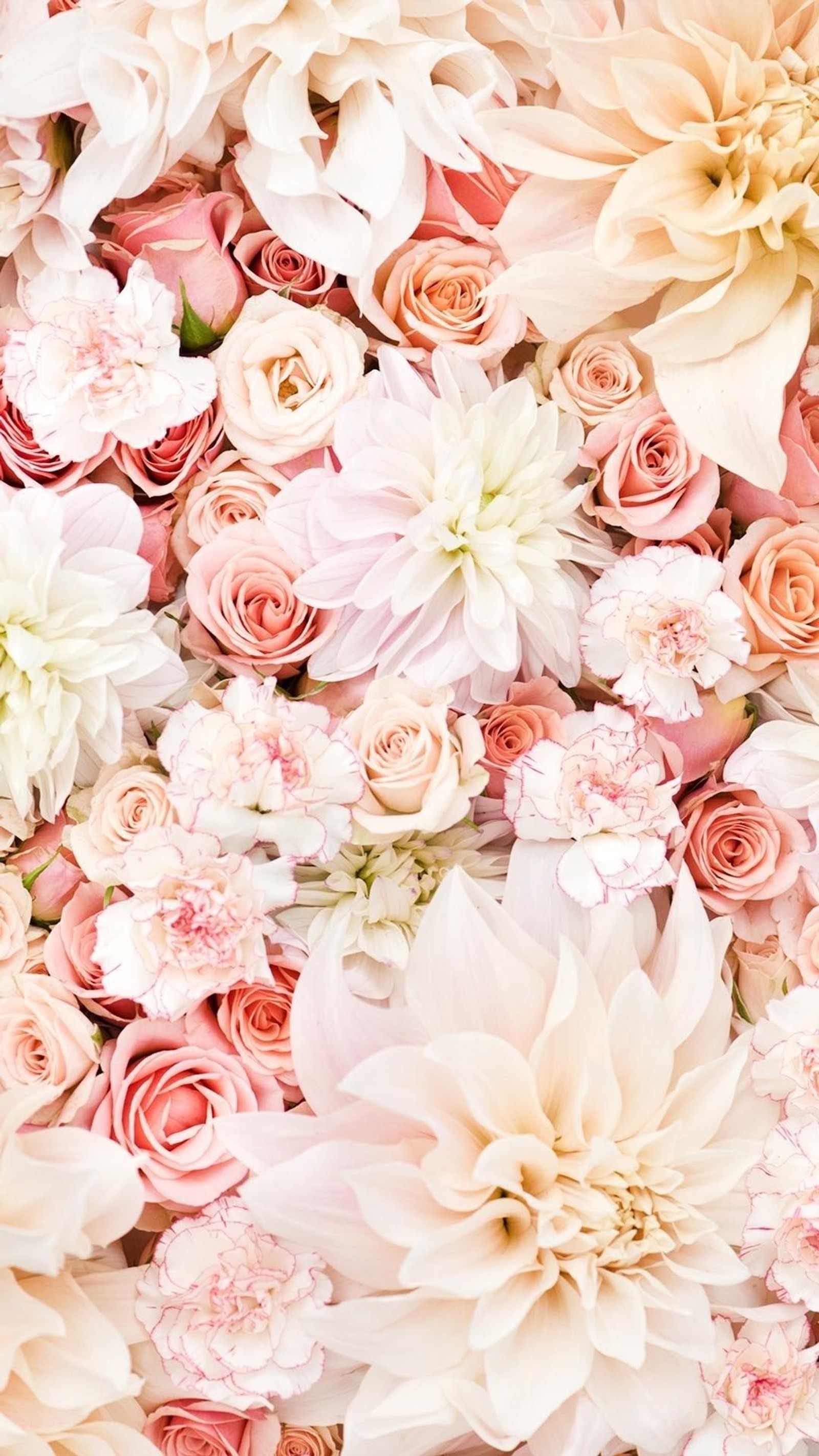 garden roses, flower, floral design, pink, bouquet wallpaper