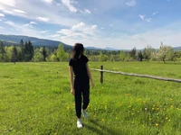 Explorer une Prairie Vibrante : Une Promenade d'Été dans la Nature