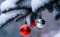 Snow-covered spruce branches adorned with red and silver Christmas ornaments.