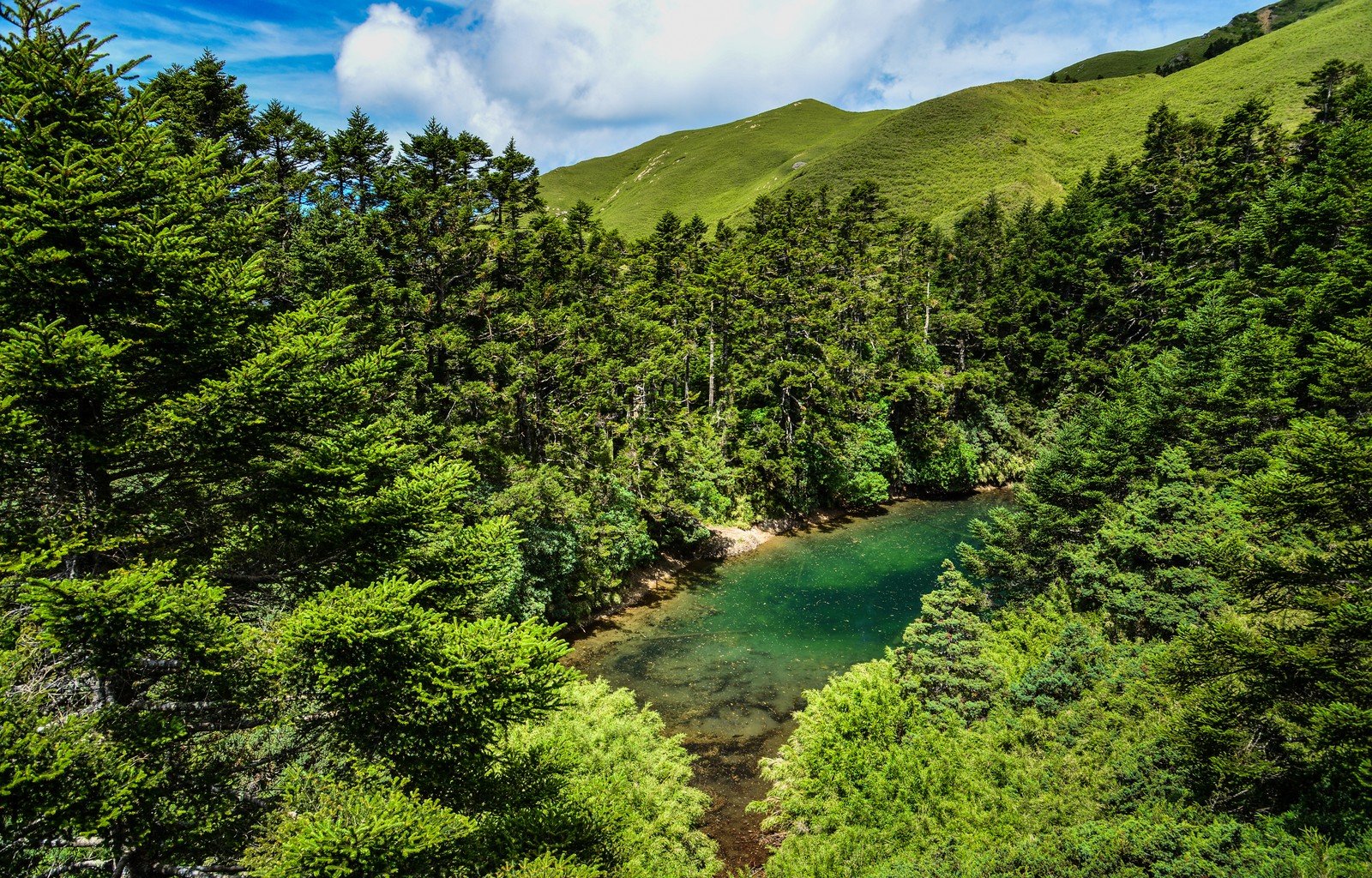 A view of a river surrounded by trees and mountains (natural landscape, nature, vegetation, green, nature reserve)