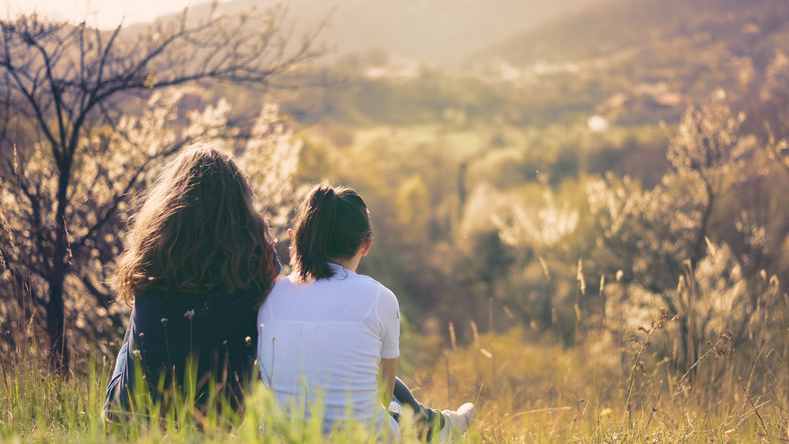 Two women sitting in a field of tall grass looking at the mountains (friendship, love, sunlight, grass, birthday)