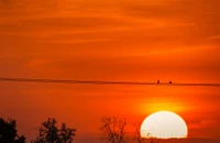 Gelassener Sonnenaufgang über dem Horizont mit silhouettierten Vögeln